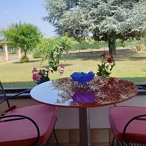 Casa di campagna Cedro Argentato Legnago