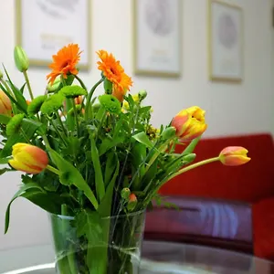 https://filarmonico12.hotelinveneto.com